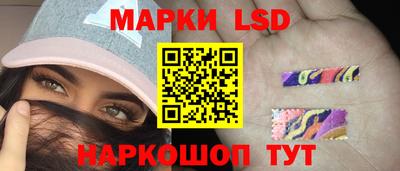 твердый Будённовск