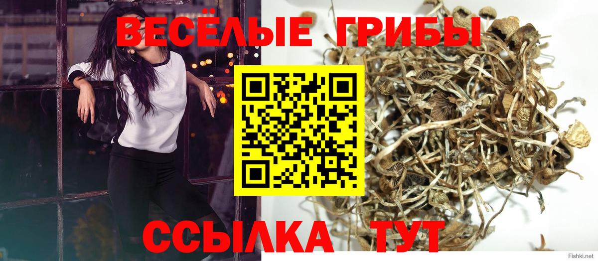 Галлюциногенные грибы прущие грибы Пугачёв