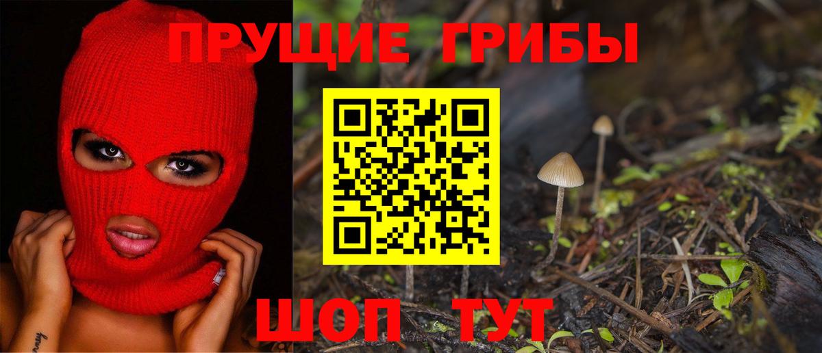 Галлюциногенные грибы мухоморы  Галлюциногенные грибы Cubensis  Пугачёв  Вход с VPN 
